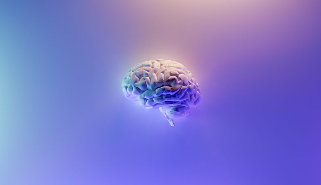 artistic human brain in a purple background